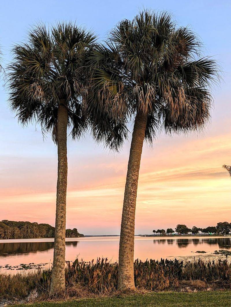 Breathtaking Views of Lake Harris