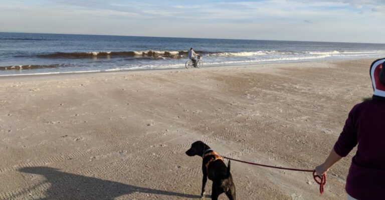 Bring Your Four-Legged Companion To Enjoy This Scenic 1.5-Mile Dog-Friendly Beach In Florida