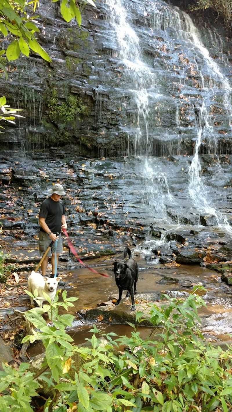 Bringing Your Dog on the Trail Bringing Your Dog on the Trail
