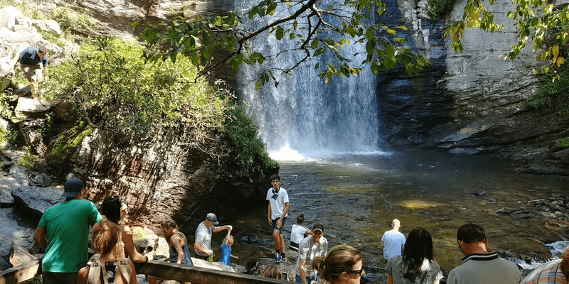 Bringing the Kids: A Family-Friendly Adventure