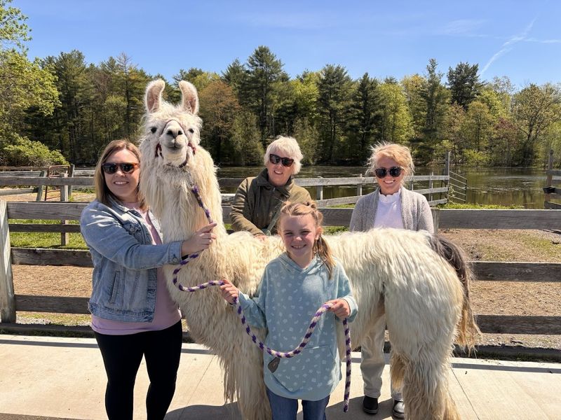 Bringing the Whole Family — From Babies to Grandparents