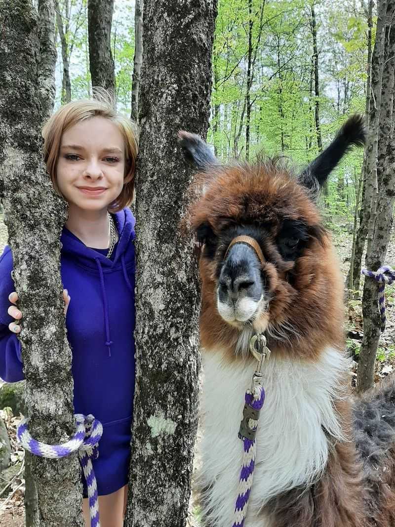 Browsing the Llama Mart Gift Shop for Unique Handcrafted Souvenirs