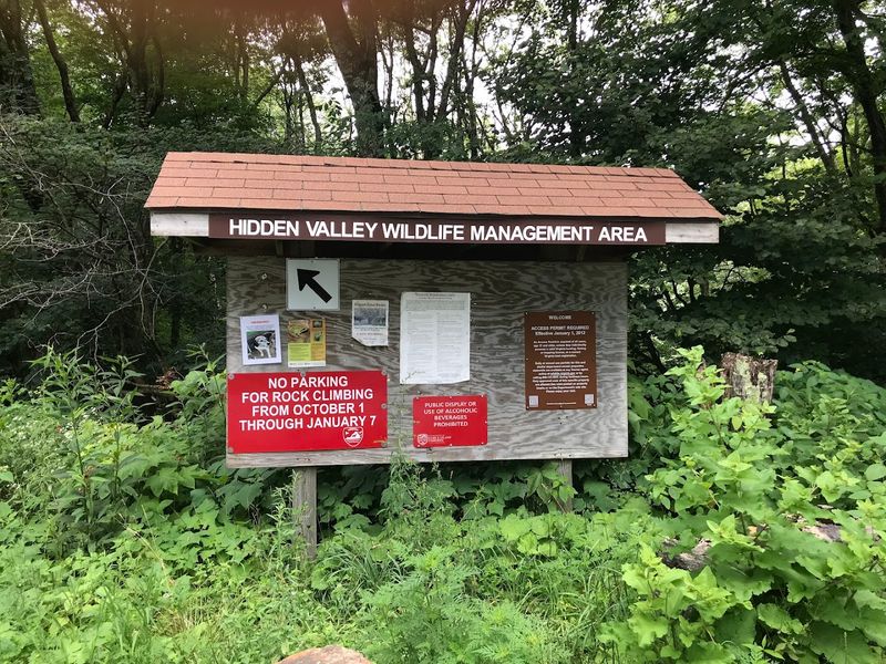 Brumley Mountain Trail for Serious Hikers