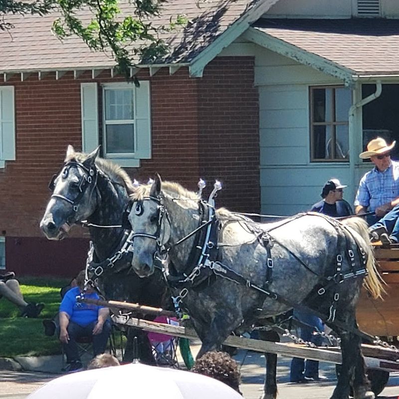 Brush Rodeo and Community Events Brush Rodeo and Community Events