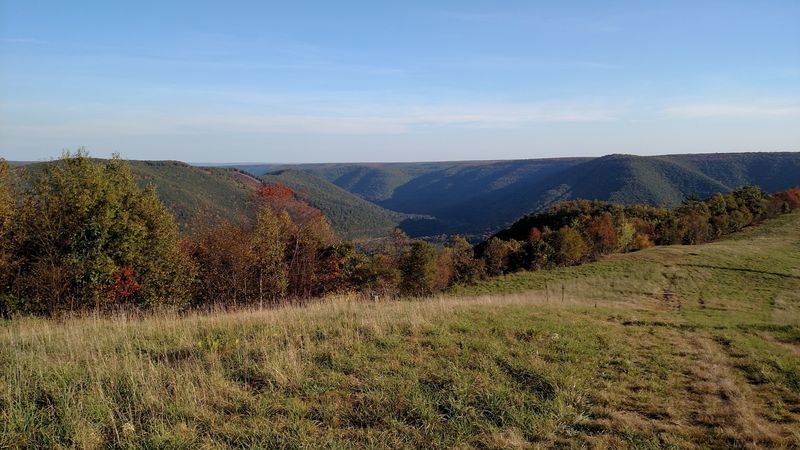 Bucktail Overlook — Top of the World