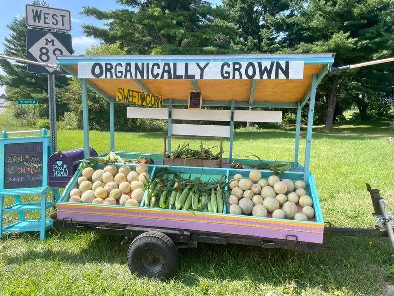 Bulk Buying Organic Blueberries at an Unbeatable Price