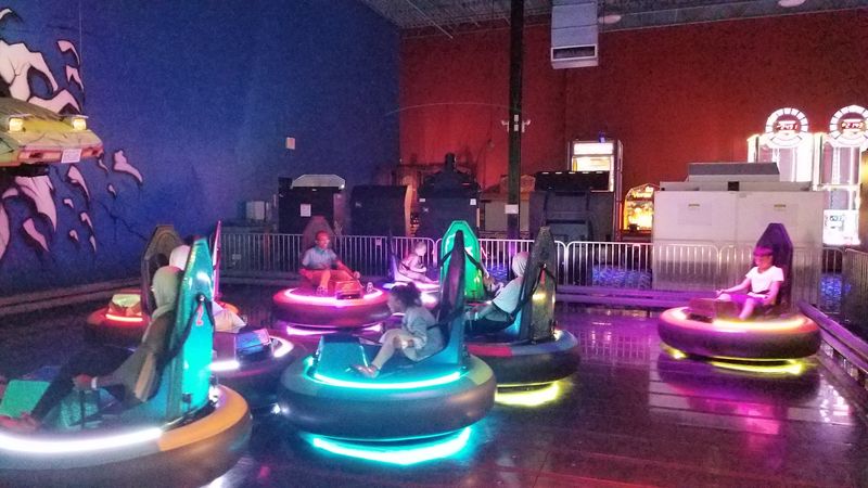 Bumper Cars Fun for All Ages