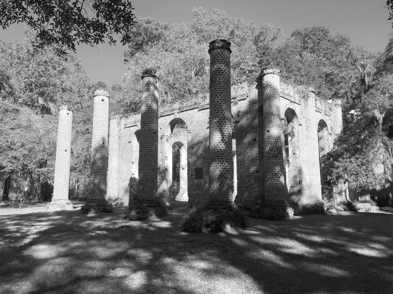Burned Twice, Yet Still Standing Burned Twice, Yet Still Standing