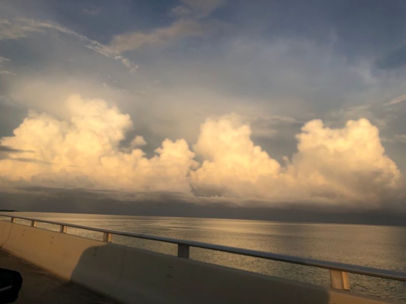 Buttonwood Sunsets — Pure Florida Gold