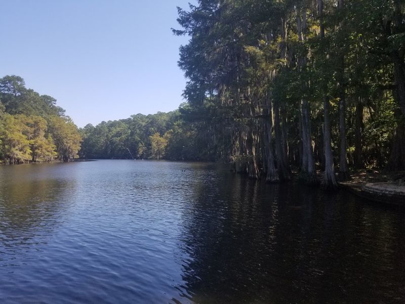 Caddo Lake State Park - Karnack, Texas