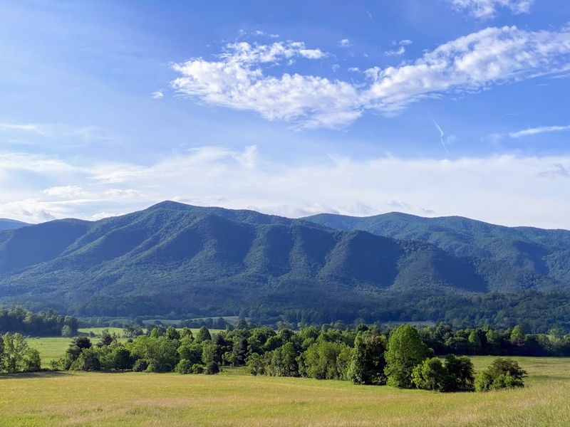 Cades Cove Scenic Loop - Townsend, Tennessee
