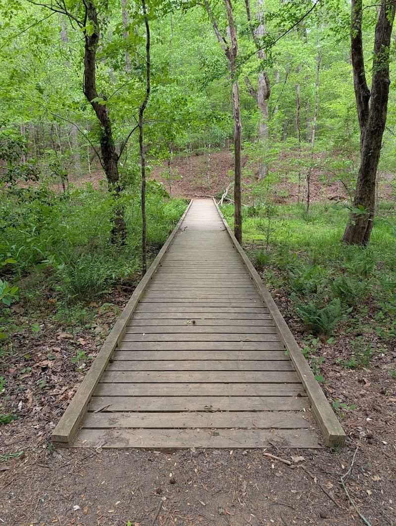 Camping Options That Actually Give You Privacy