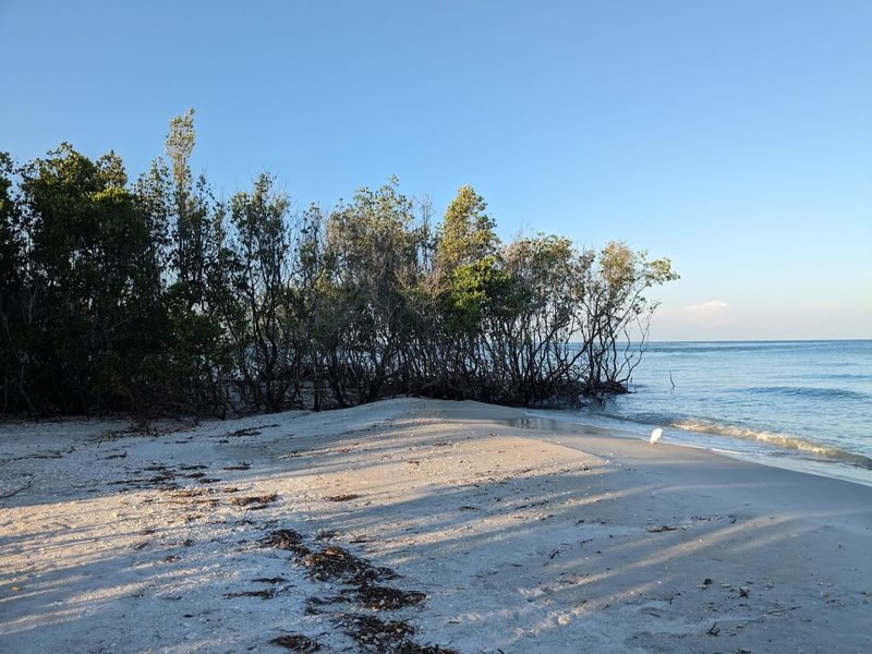 Camping Overnight on Shell Key Island