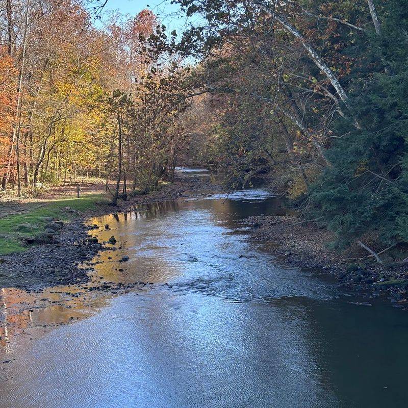 Camping Right Along the River at Mohican
