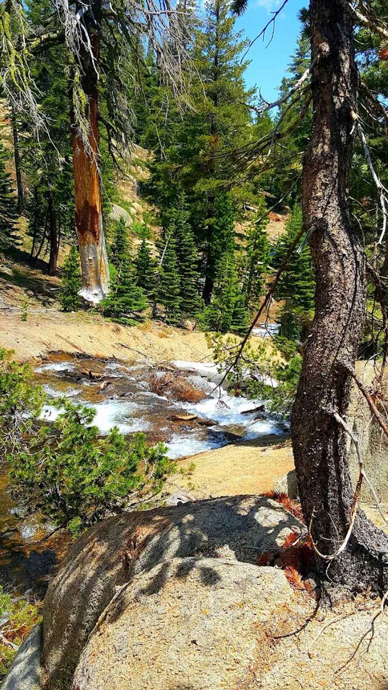 Camping Spots Hidden Throughout the Route