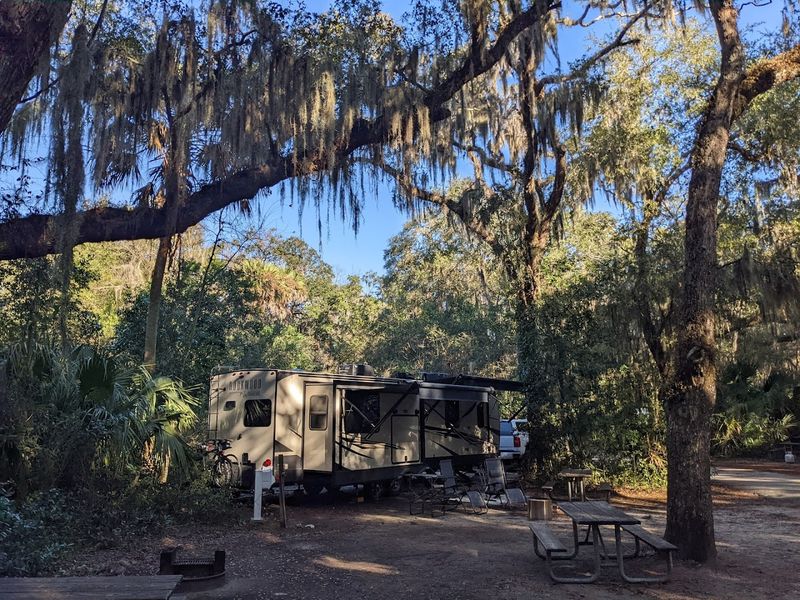 Camping Under a Canopy of Oak Trees Camping Under a Canopy of Oak Trees