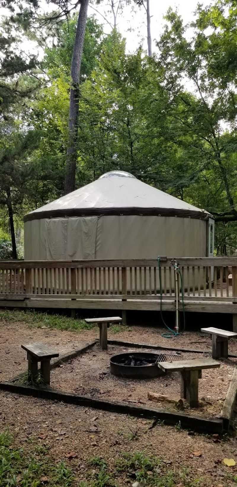 Camping Under the Canopy With Real Privacy and Quiet Camping Under the Canopy With Real Privacy and Quiet
