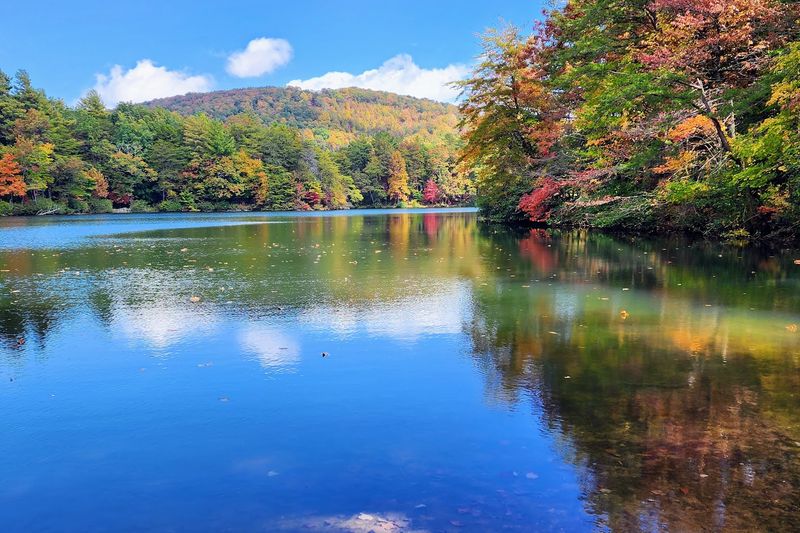 Camping Under the Stars in the Blue Ridge Mountains