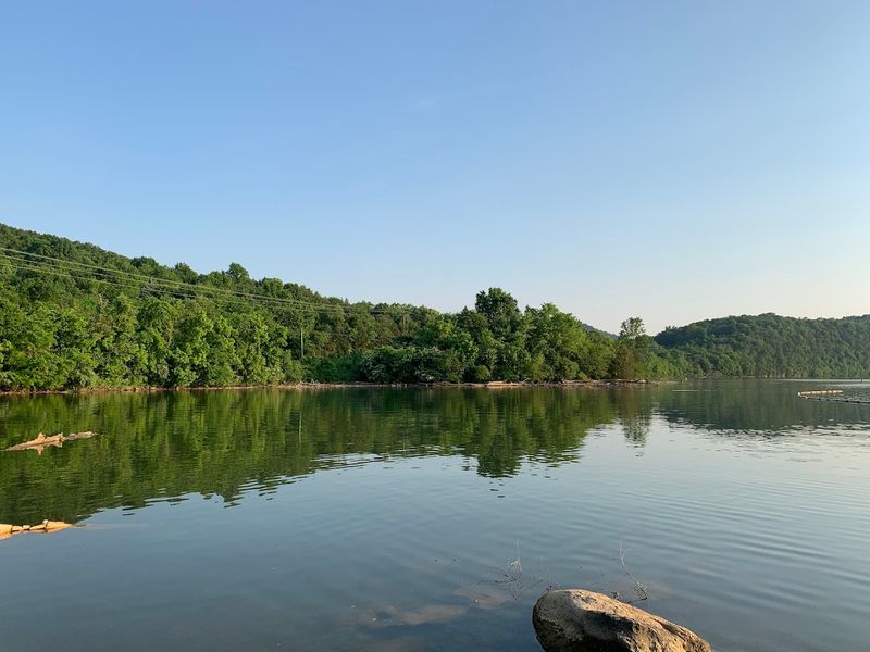 Camping and Outdoor Adventures Near the Lake