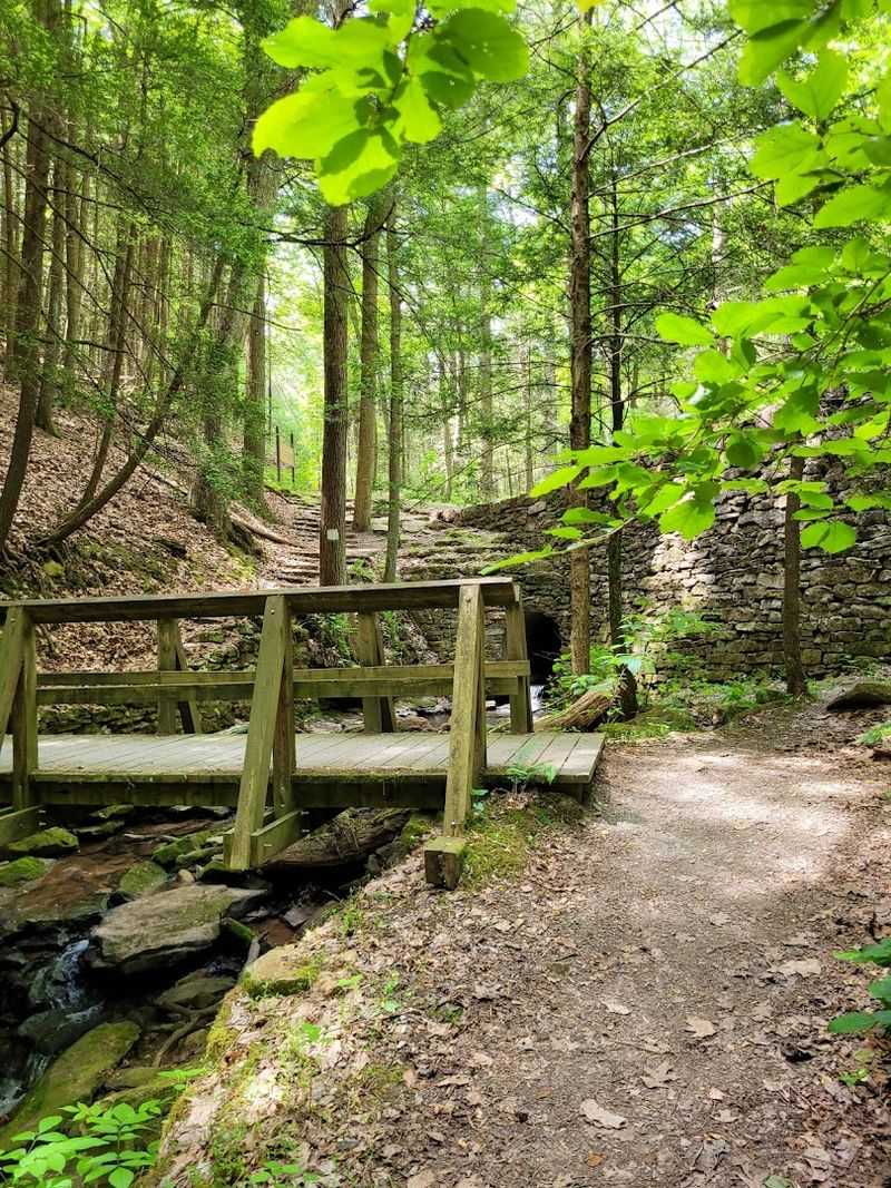 Camping at Trough Creek: Sleep Under the Stars in Central PA