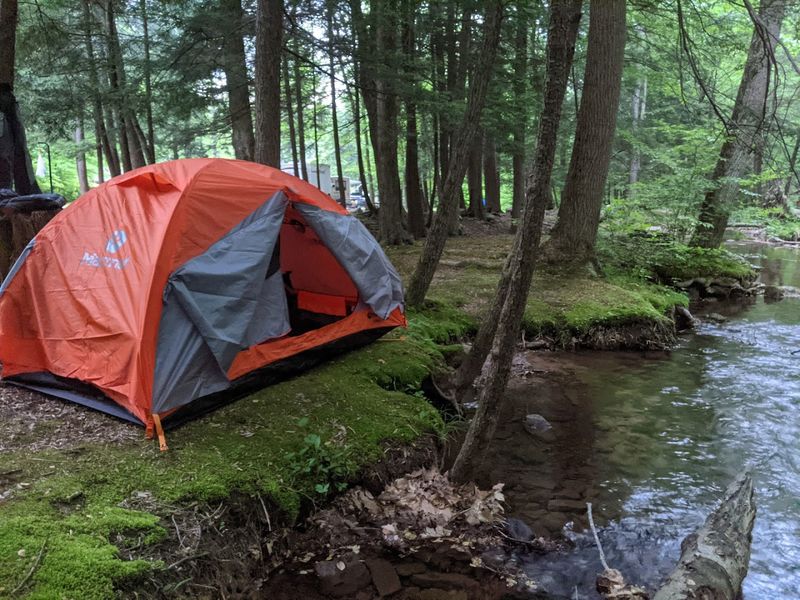 Campsites Right Along a Charming Little Creek Campsites Right Along a Charming Little Creek