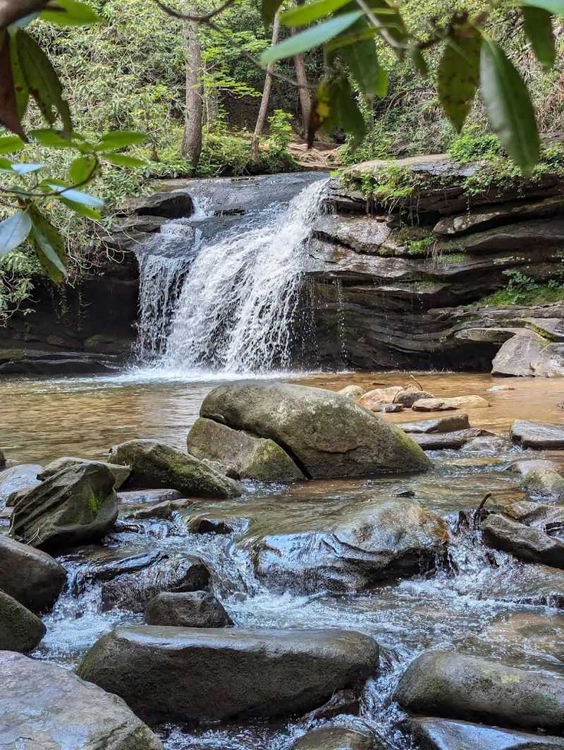 Carrick Creek Trail and Its Waterfalls