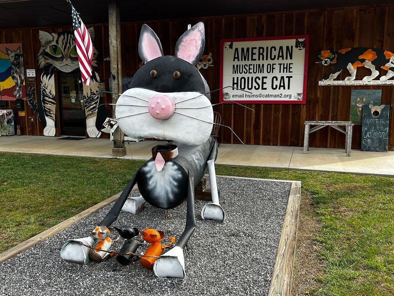 Cat Memorabilia Spanning Every Decade You Can Imagine