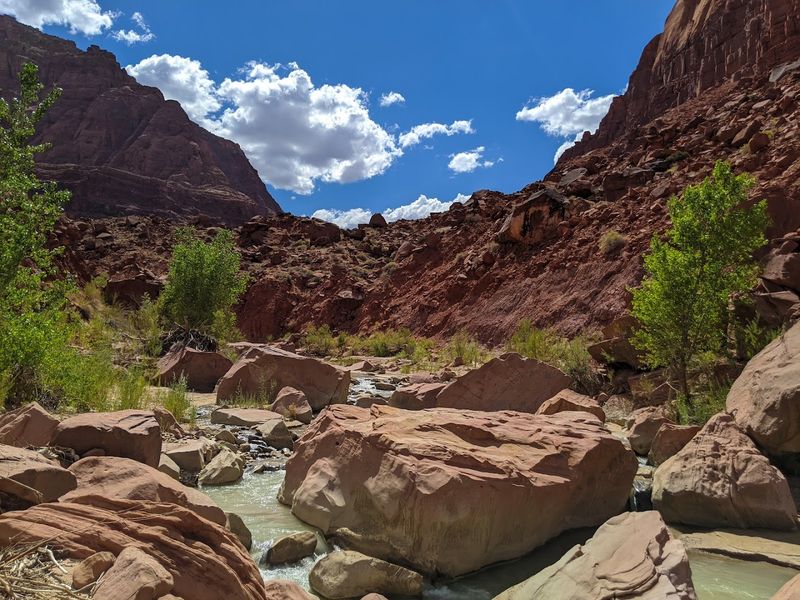 Cathedral Wash Trail — A Climb Worth Every Step