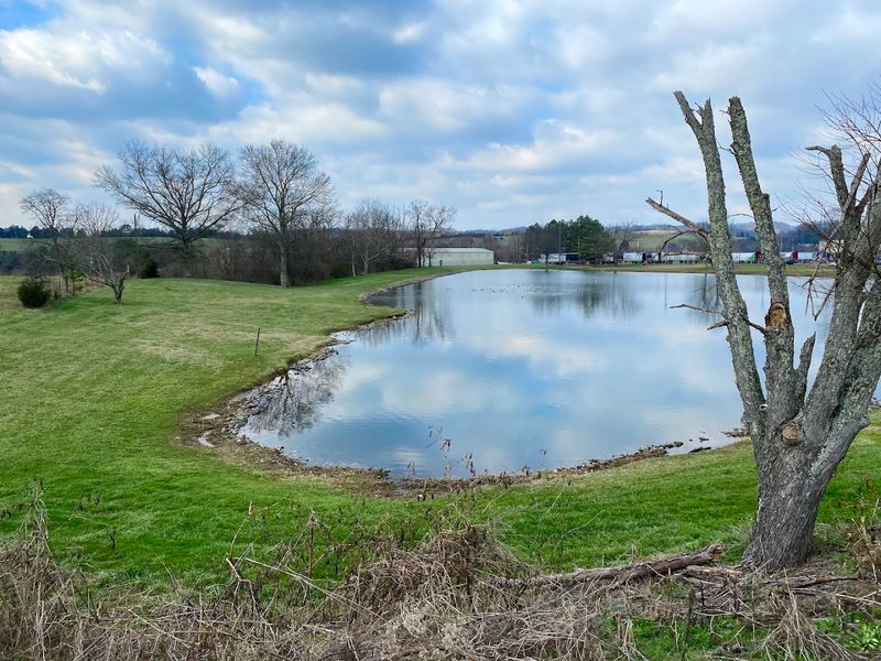 Cherokee Lake: A Sparkling Gem Right at Your Doorstep Cherokee Lake: A Sparkling Gem Right at Your Doorstep