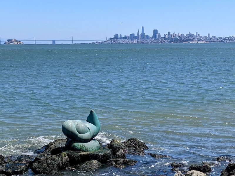 Clam Chowder With a View You Won't Forget