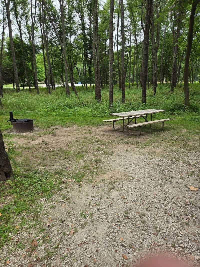 Clean, Spacious Campsites With a Forested Feel