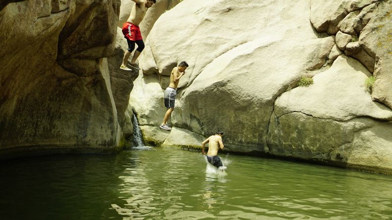 Cliff Jumping Thrills for the Brave-Hearted
