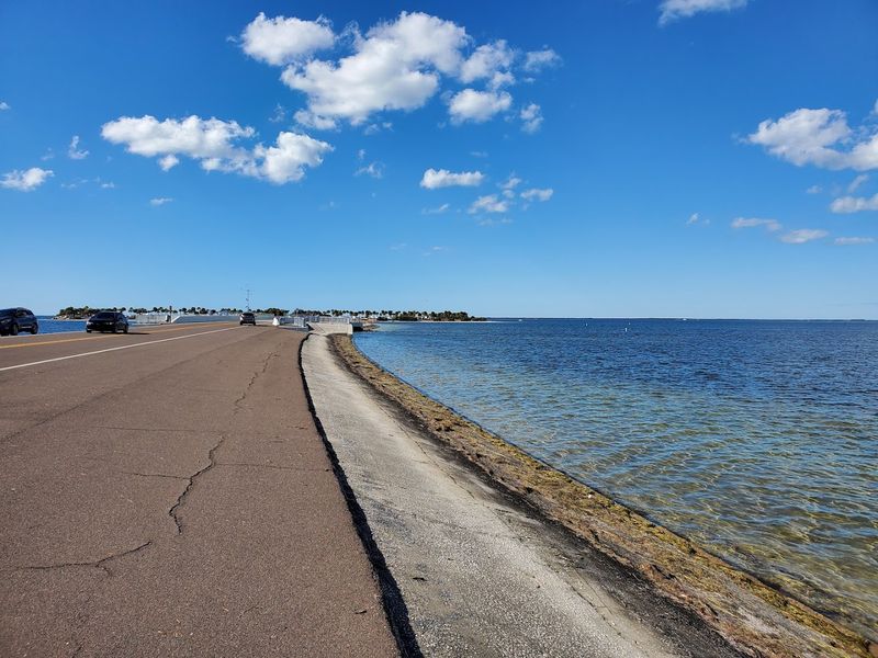 Close Proximity To The Famous Tarpon Springs Sponge Docks