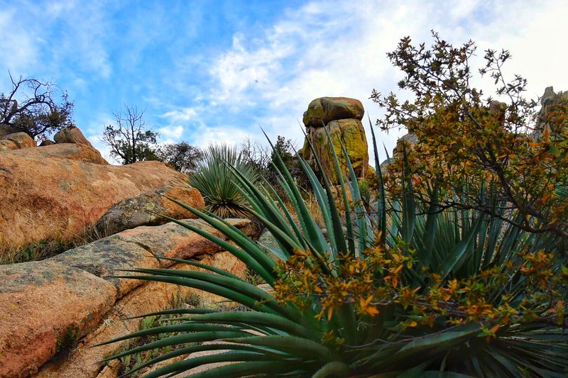 Cochise Stronghold - Sunsites, Arizona