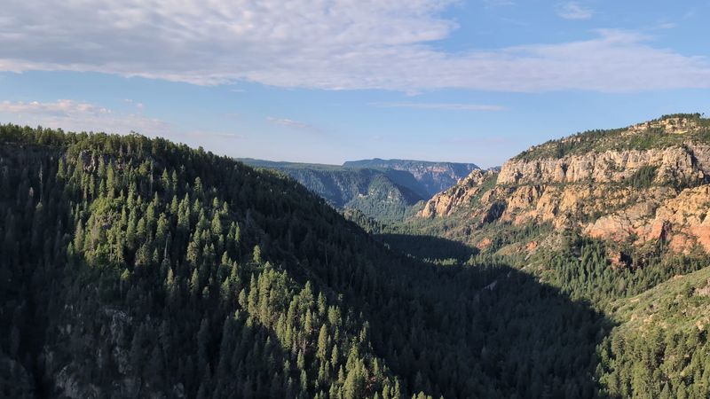 Coconino National Forest Surroundings That Add Lush Green Contrast