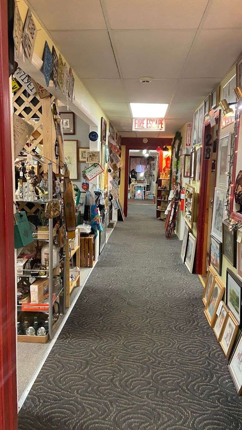 Coins, Currency, and Rare Oddities