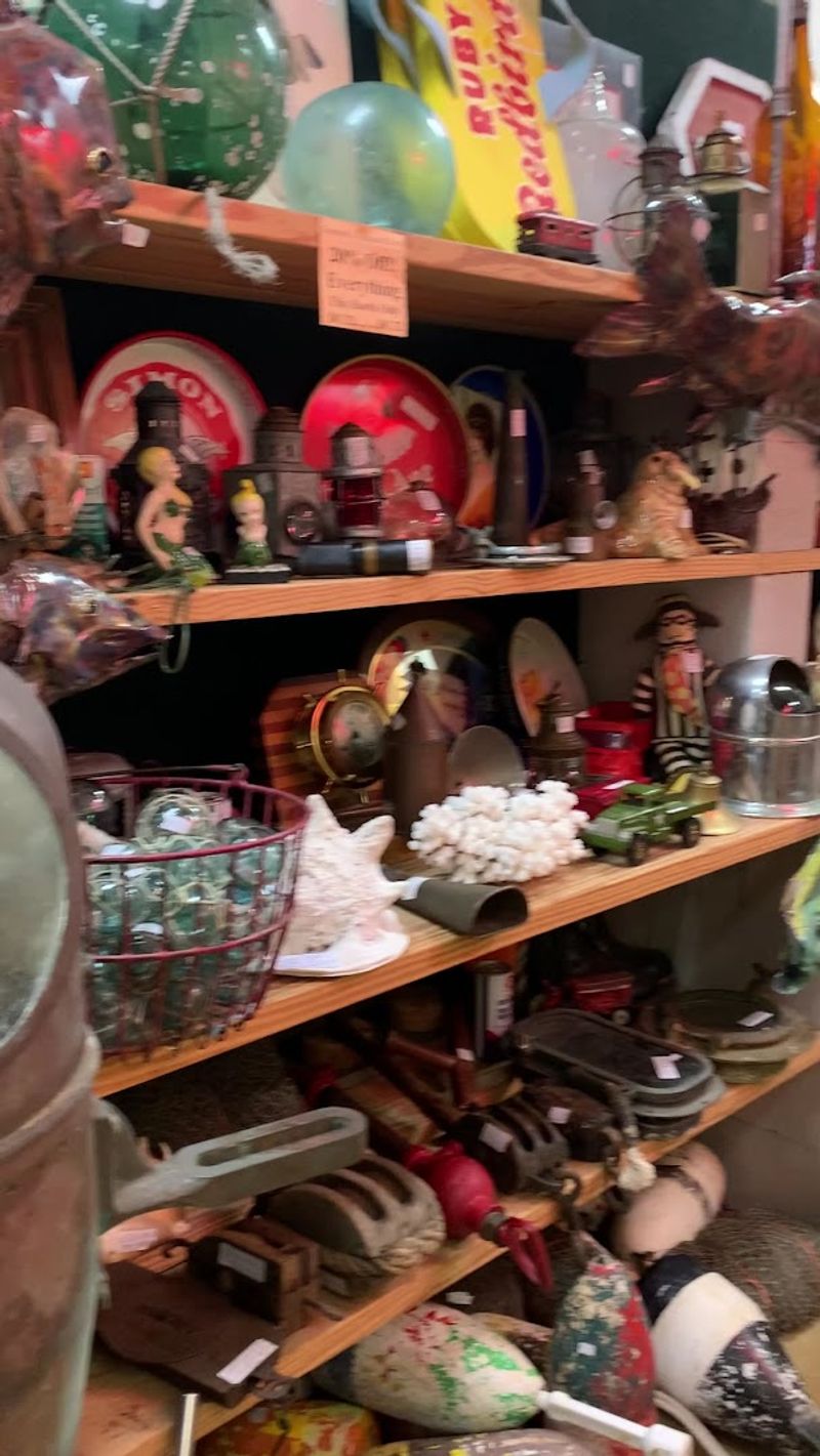 Collectibles Galore for Every Kind of Enthusiast