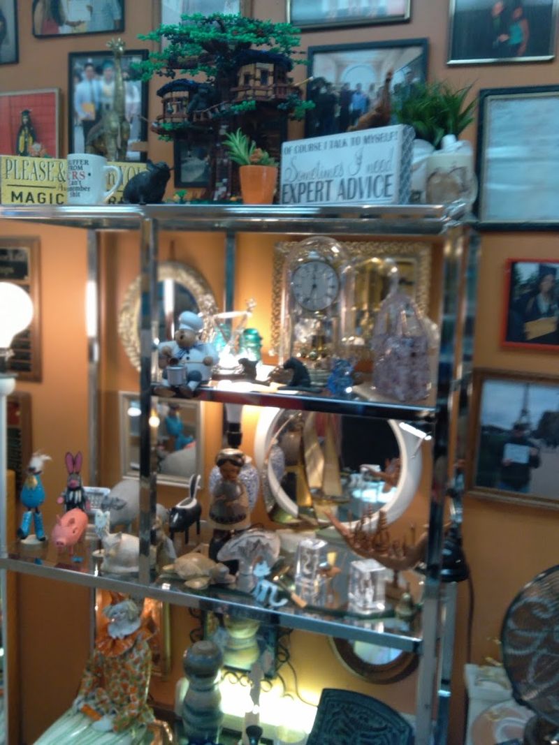 Collectibles and Curiosities That Spark Real Excitement Collectibles and Curiosities That Spark Real Excitement