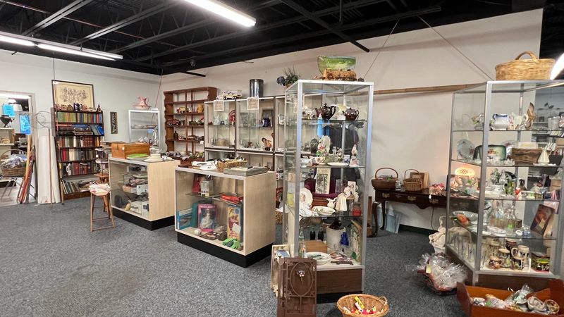 Collectibles and Unique Finds for the Curious Shopper