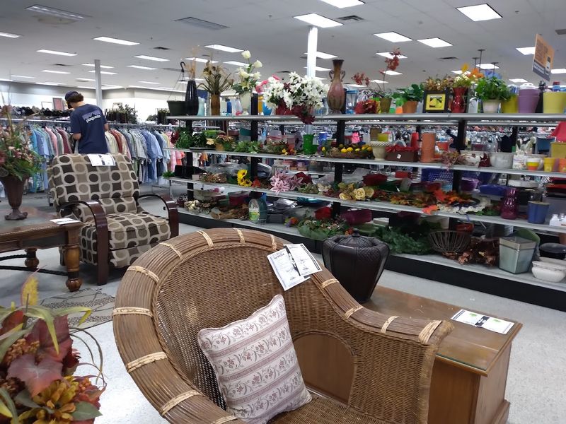 Collectibles and Vintage Finds That Will Blow Your Mind