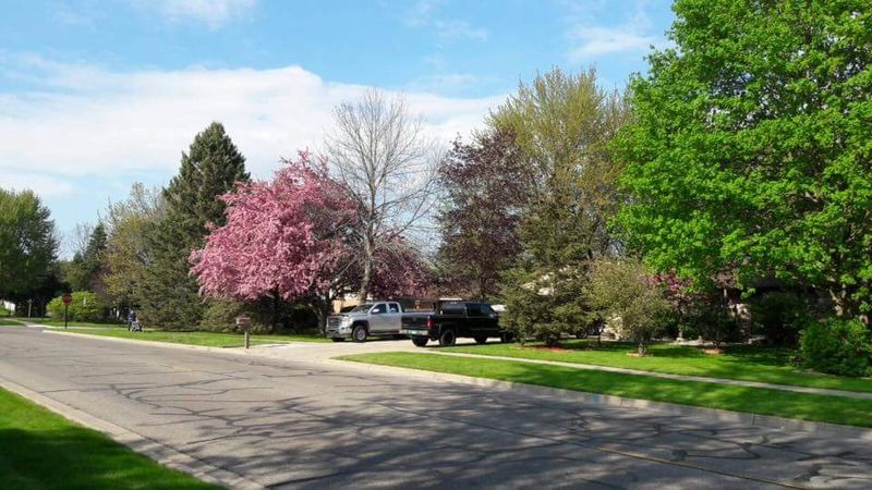 Comfortable Neighborhoods That Feel Like Home Immediately