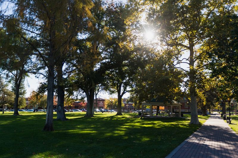 Community Events Keep the Small-Town Spirit Alive Year-Round