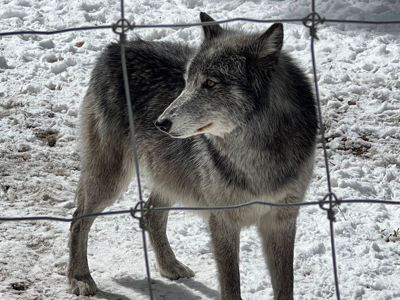 Conservation Education That Sparks Real Action