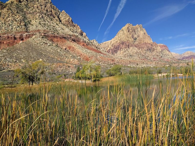 Cooler Temperatures Even in the Desert Heat