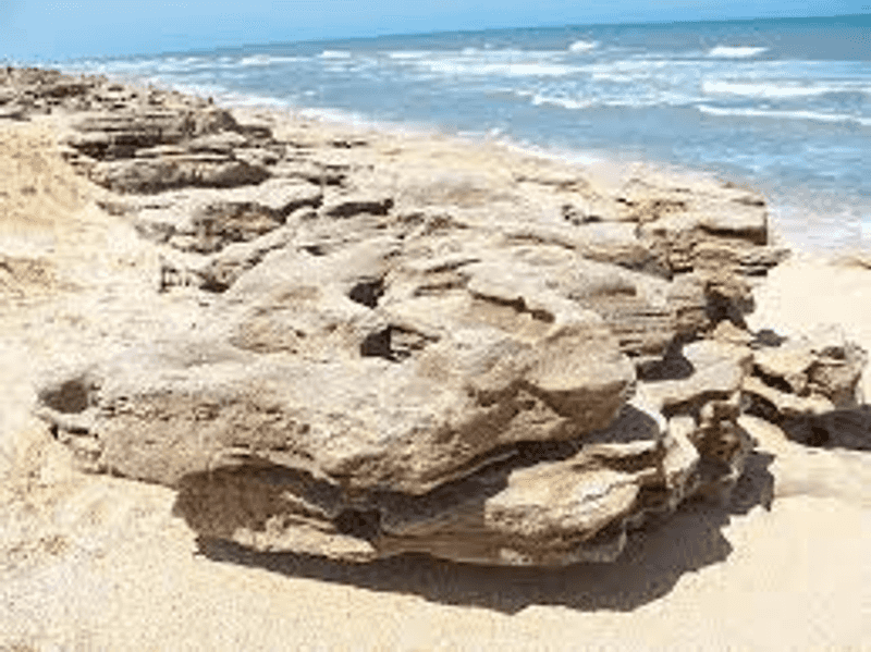 Coquina Rock Formations: A Geological Wonder on the Shore