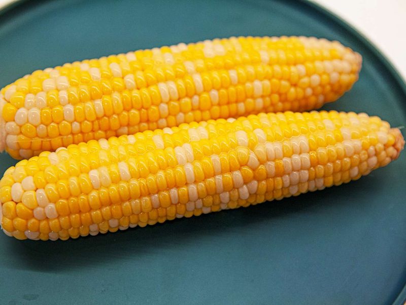 Corn on Cob