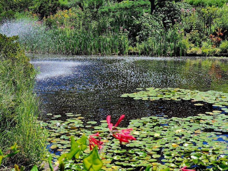 Corning Lake and the Beautiful Water Features