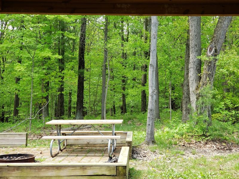 Cozy Cabin Rentals for a Unique Overnight Stay