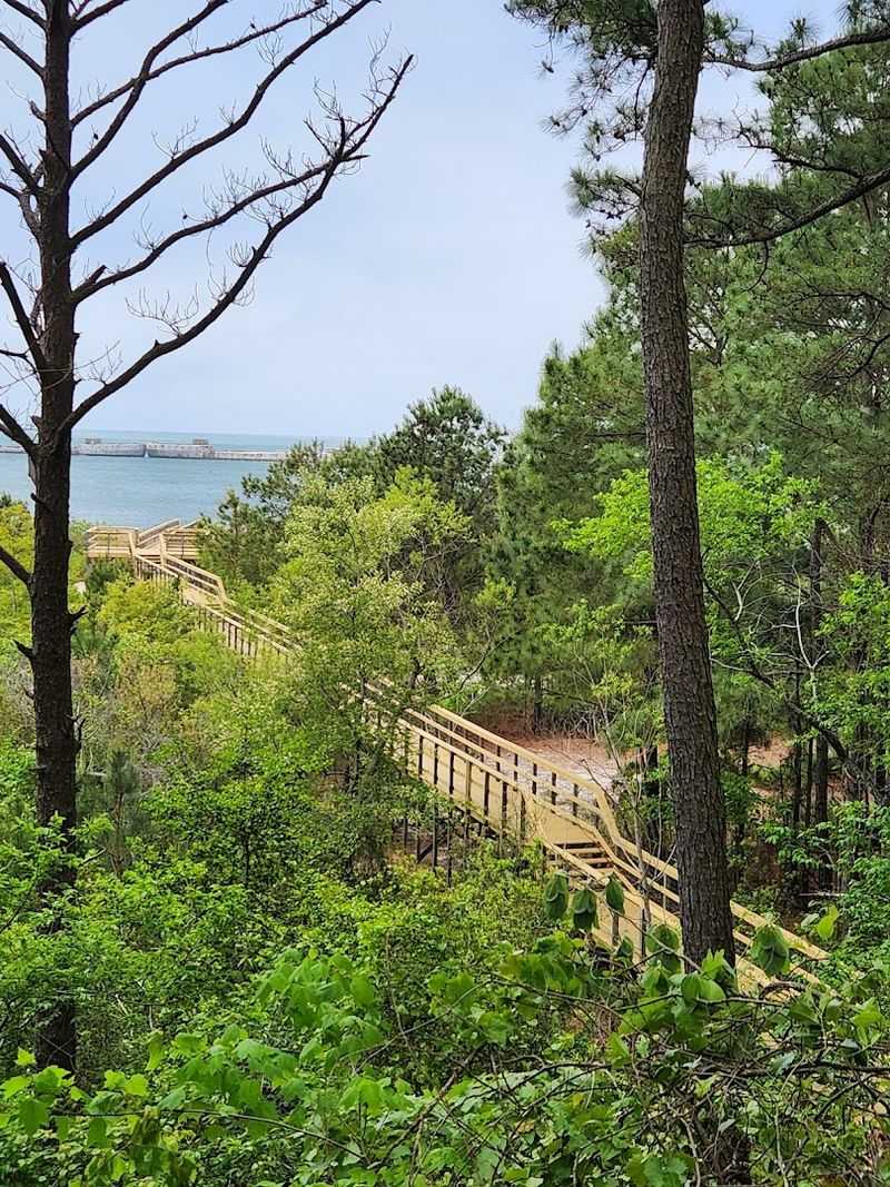 Cozy Cabin Stays with Beach Walkability