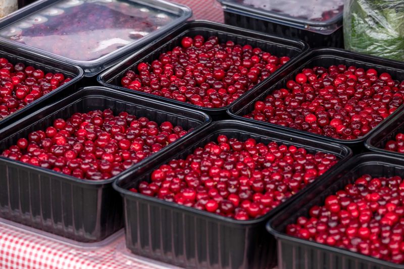 Cranberries Cranberries